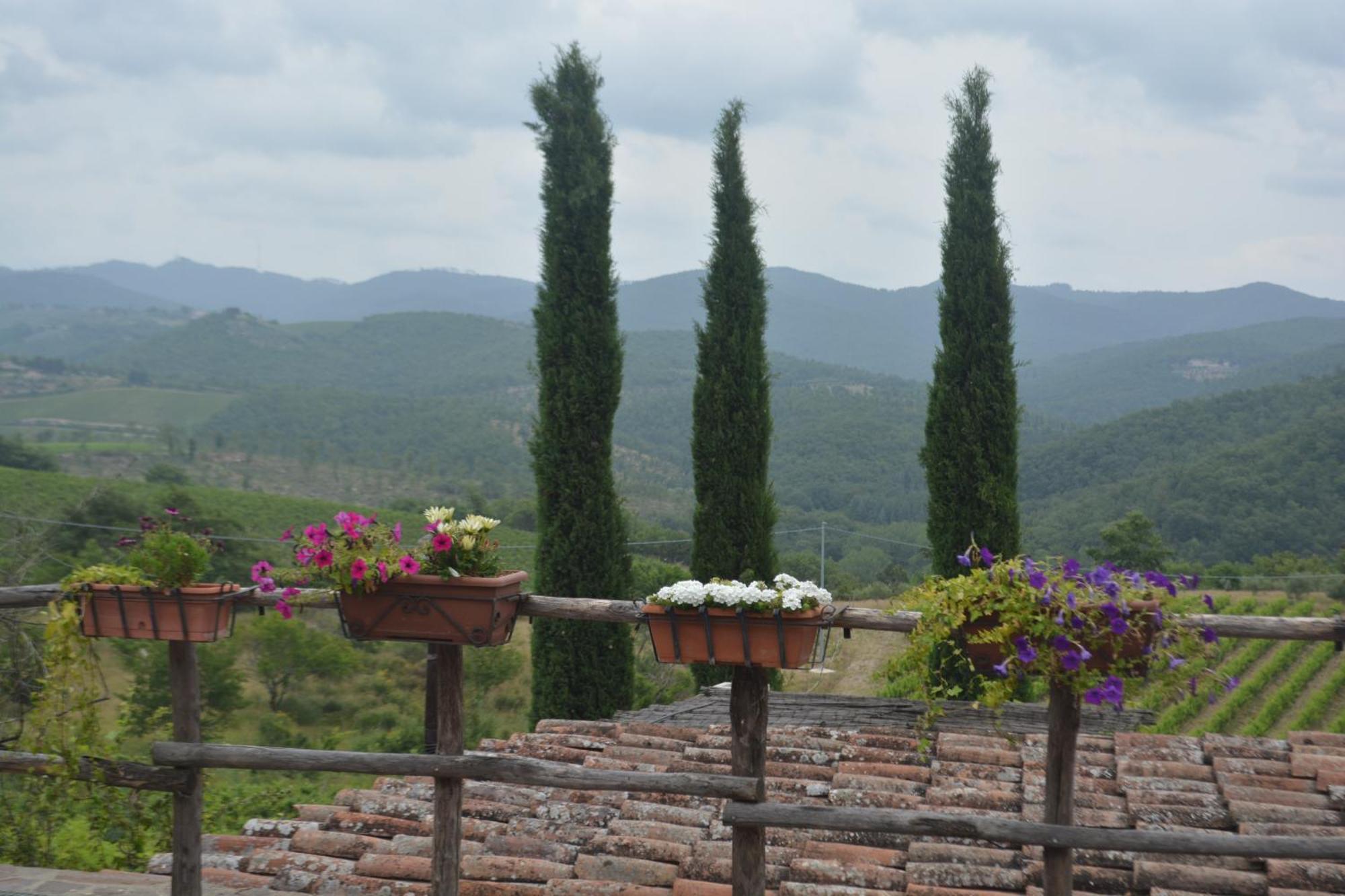 Villa Celle Di Lecchi Nel Chianti San Sano Exterior foto